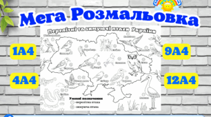 Птахи України (перелітні та зимуючі) Велика розмальовка - формат 1 листок та 4, 9, 12 листів А4 (цікава ідея для групової роботи з дітками)