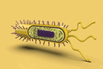 0901jgha-29ba-211x141.png