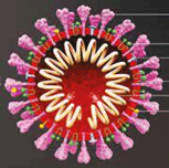 0901jghg-b594-153x152.png