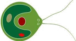 0901jghq-6103-259x141.png