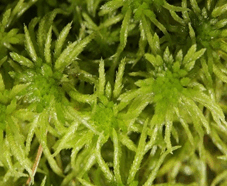 0901jh77-7368-227x186.png