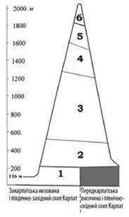 0901jj66-ca16-183x307.jpg