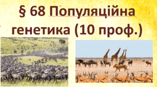 § 68 Популяційна  генетика (10 проф.)