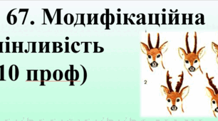 § 67. Модифікаційна мінливість