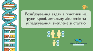 Розв'язування задач з генетики на групи крові, летальну дію генів та успадкування, зчеплене зі статтю