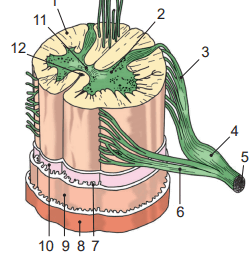 0901jlk4-0a6b-252x256.png