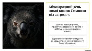 3 травня - Міжнародний день дикої коали (International Wild Koala Day)