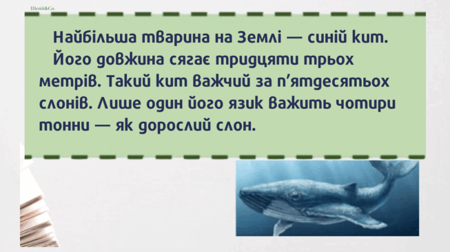 0901jmms-efc0-653x366.png