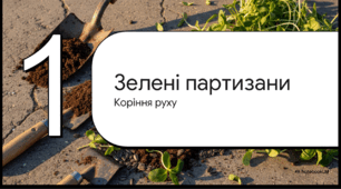 Відеоогляд "1 травня – Міжнародний день соняшника"