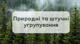 Що таке природні та штучні угруповання
