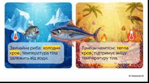 Відео "2 травня - Всесвітній день тунця (World Tuna Day)"