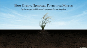 Біом степу: Природа, Грунти та Життя.