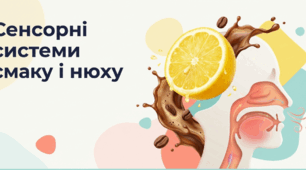 Сенсорні системи смаку і нюху