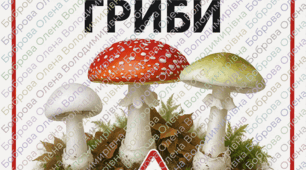 Плакати «Обережно! Отруйні гриби»