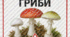 Плакати «Обережно! Отруйні гриби»