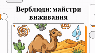 Верблюди: дивовижні факти про кораблів пустелі