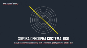 Презентація "Зорова сенсорна система. Око" з інтерактивними вправами (8 клас. НУШ)