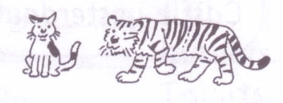 0901k0dz-198e-283x103.png