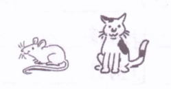 0901k0fe-fd52-249x130.png
