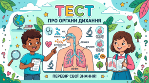 Огани дихання людини, їх значення