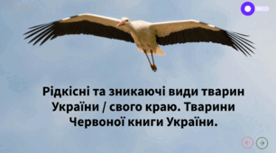 Рідкісні та зникаючі види тварин України / свого краю. Тварини Червоної книги України (презентація за посиланням)