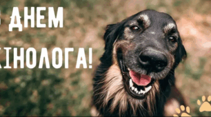 День кінолога