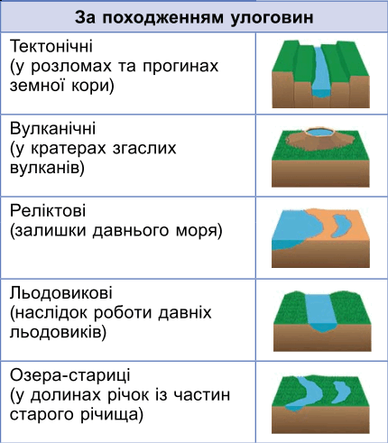 0901k1ym-0ff0-430x491.png