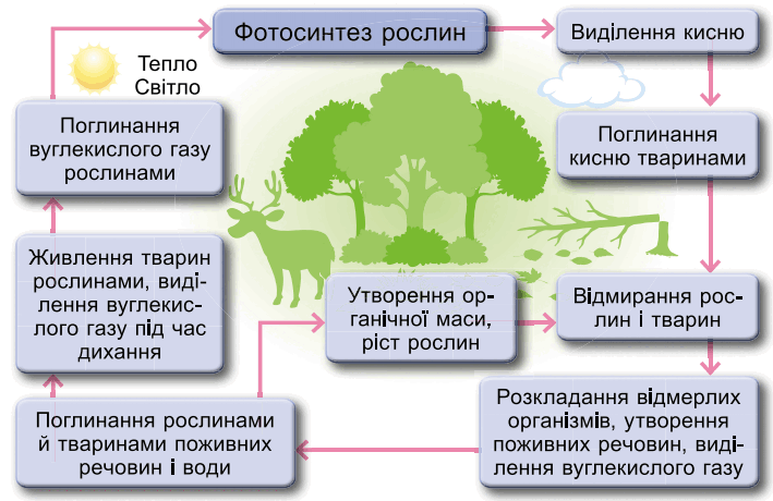 0901k1zd-fc0f-709x460.png