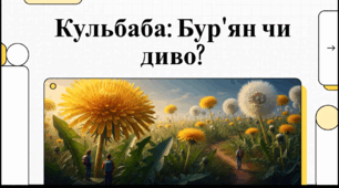 Відеоогляд "5 квітня - Національний день кульбаби у США"