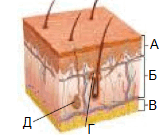 0901k39n-0860-342x289.png