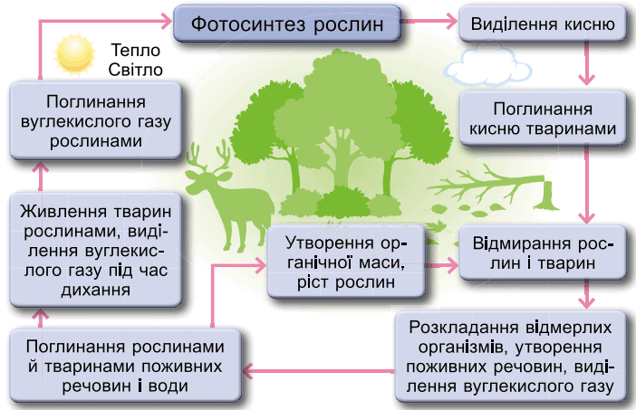 0901k3dy-cefa-702x453.png