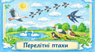Проєкт "Перелітні птахи"