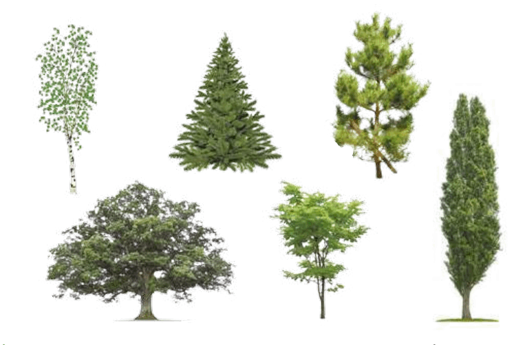 0901k54r-7244-763x502.png