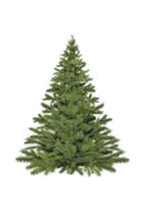0901k5do-d442-209x298.png