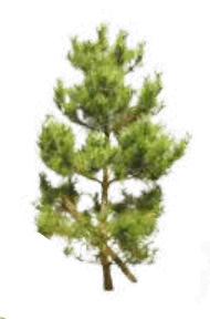 0901k5eb-4f7e-190x288.png