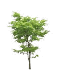 0901k5g7-9b26-206x269.png