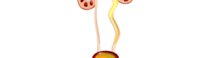 0901k5oh-a7c9-319x84.png