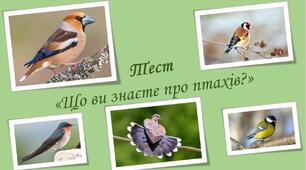 Тест "Що ви знаєте про птахів?"