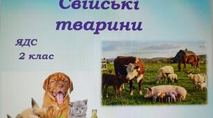 2 клас, ЯДС "Свійські тварини"