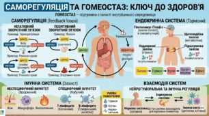 Комплексна діагностична робота до розділу "Саморегуляція та гомеостаз як властивості живого. Нейрогуморальна регуляція. Імунітет"