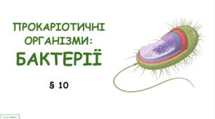 Презентація на тему "Прокаріотичні організми: бактерії". 10 клас
