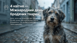 4 квітня-Міжнародний день бродячих тварин: "Друг шукає дім"
