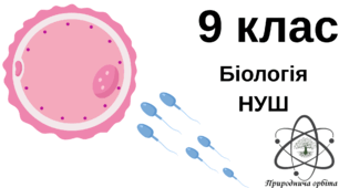 Здатність до репродукції - універсальна властивість організмів. Будова статевих клітин. 