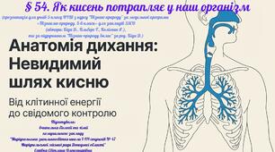 § 54. Як кисень потрапляє у наш організм