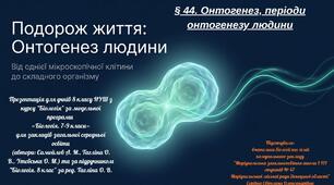 § 44. Онтогенез, періоди онтогенезу людини