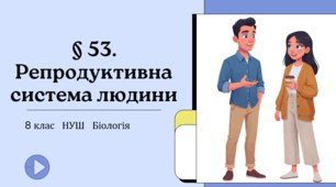 Презентація  до уроку «§ 53. Репродуктивна система людини»   8 клас  НУШ
