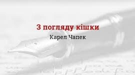 Чапек К. «З погляду кішки». Аналіз твору.