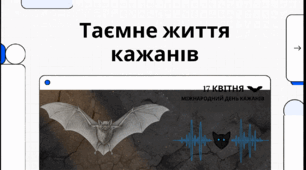 Відео "17 квітня - Міжнародний день шанування кажанів"