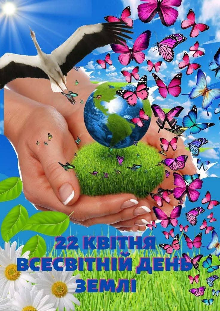 0901knyd-d01e-736x1041.jpg