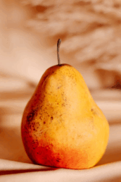 0901kpxt-f067-172x258.png